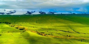 新疆风土人情：探索多元文化的宝库